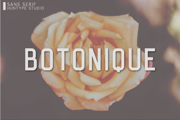Botonique: A Modern Font for Digital Marketing