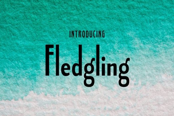Fledgling Font: Modern Typography for Marketers
