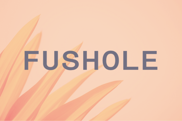 Fushole: A Modern Sans Serif for Elegant Design