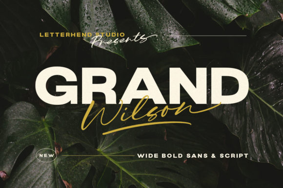 Grand Wilson: A Font for Clear Campaigns