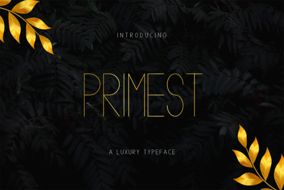 Primest: A Modern Sans Serif Font