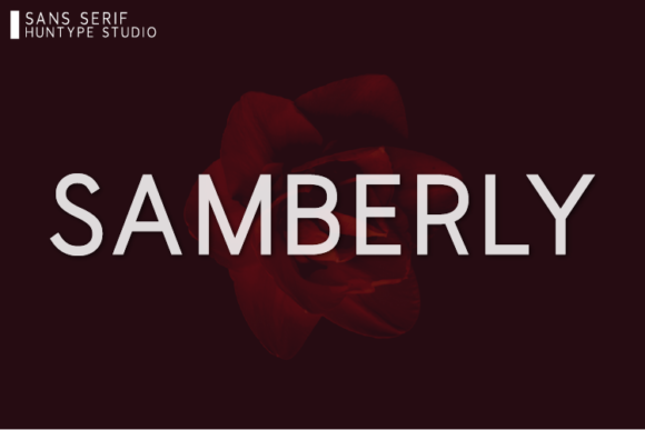 Samberly: A Modern Sans Serif for Web Design
